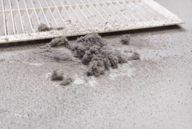 Best Professional Duct Cleaning Services  in Temecula, CA