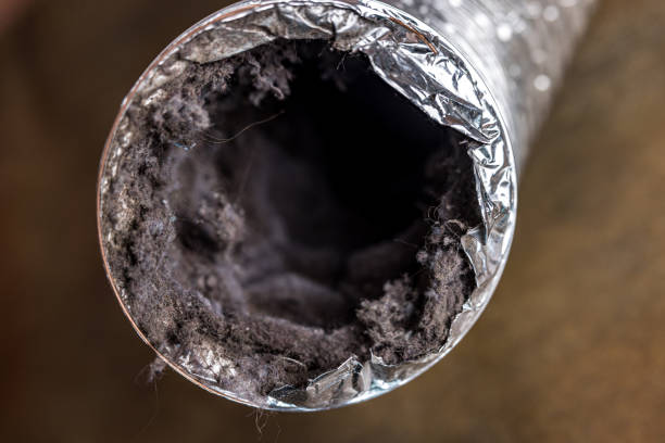 Best Home Air Vent Cleaning  in Temecula, CA